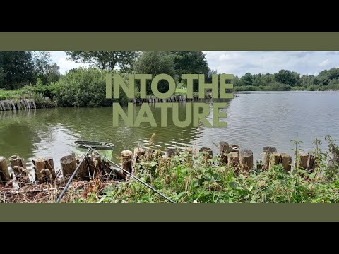 Entschneidert - Ansitzangeln #Angeltag 23 08 2023