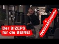 REINES BEINBEUGER TRAINING | GEBURTSTAGSÜBERRASCHUNG | Wie wichtig ist der BEINBIZEPS?