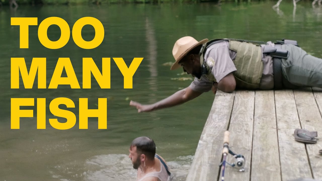 Mt. Mystic - Too Many Fish