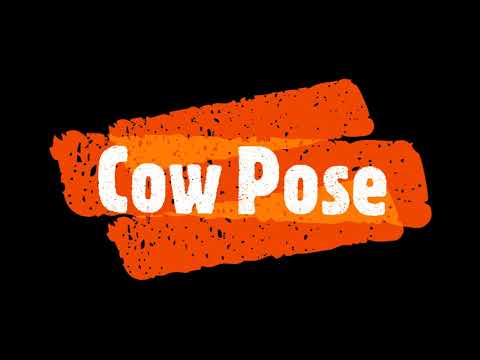 Cow Pose