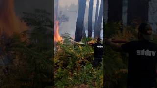 France battles largest wildfire evacuation since World War II near Bordeaux
