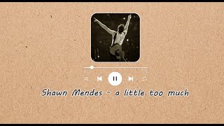 Shawn Mendes - A little too much Lirik dan terjemahan