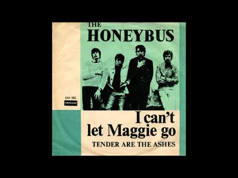 I Can't Let Maggie Go  - The Honeybus   MONO