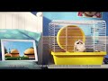 Sky Broadband WiFi Guarantee The Secret Life Of Pets 2