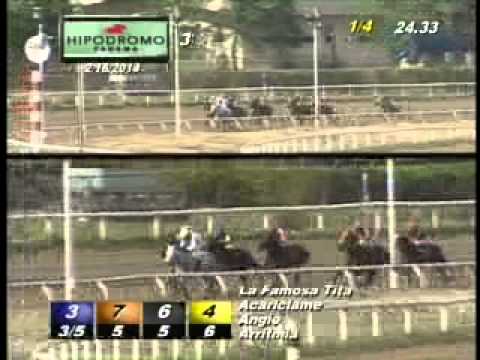 3RA CARRERA DOMINGO 16 DE FEBRERO DEL 2014 HPR