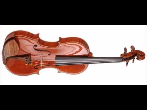 Marcin Krupa - Finalist - 13th Wieniawski Violin Making Comp. | binaural recording | concert hall