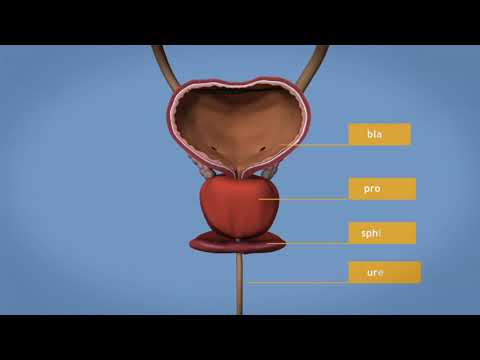 Benign Prosthetic Hypertrophy ضخامه سلیم یا بزرگ شدن پروستات