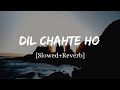 Dil Chahte Ho - Jubin Nautiyal Song | Slowed And Reverb Lofi Mix