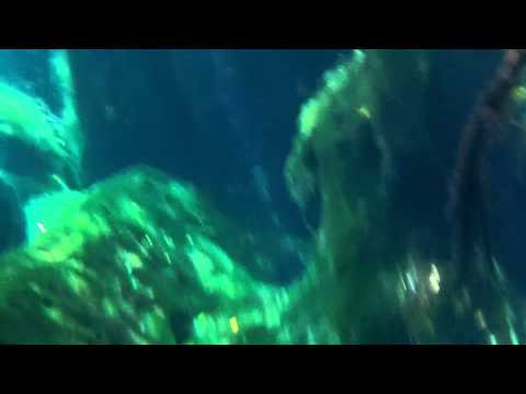 Cave diving at Cenote Cristalino on the Riviera Maya.