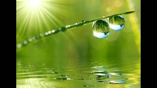 Qualquer coisa a ver com o paraíso - Flavio Venturini e Tonhinho Horta