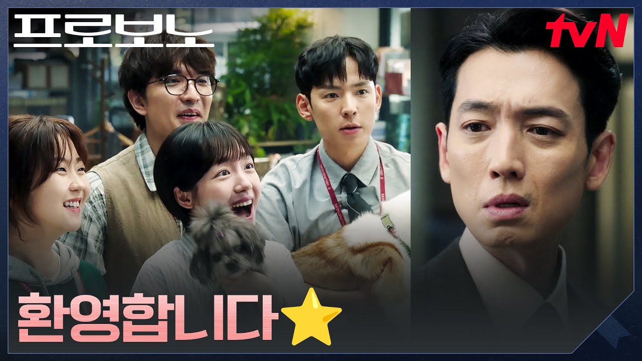 출세지상주의 정경호의 새 직장, 공익 소속팀 프로보노 #프로보노 EP.1 | tvN 251206 방송