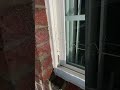 A Cigarette in the window sills