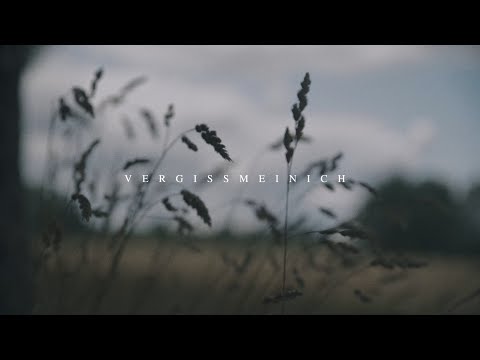 VERGISSMEINICH // Dein Gott