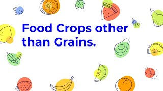 Food crops other than Grains|CBSE|CLASS 10|Agriculture