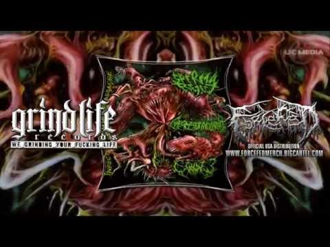 Teaser INFECTED BRUTAL MASSACRE " 3 Way Split " CD 2015 @LICMEDIA