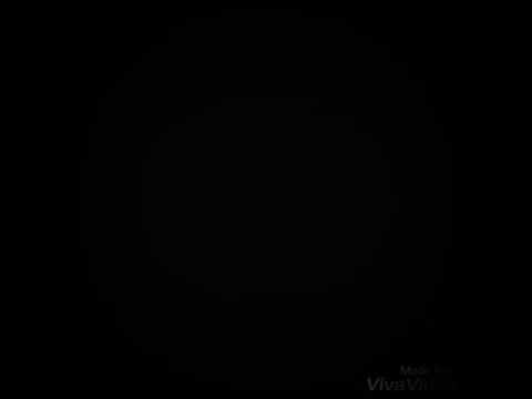 Kazim akboga Erklärt den wirklichen Sinn vom Lied ist mir Egal