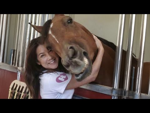 Rien ne vaut l'amour entre les hommes et leurs chevaux.