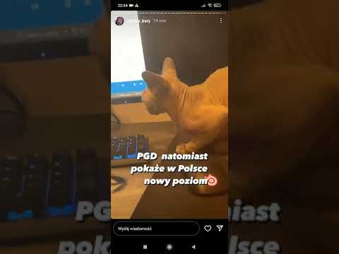 WHITE WIDOW FT ŻALUZJA SOLONEZ SNIPPET PGD