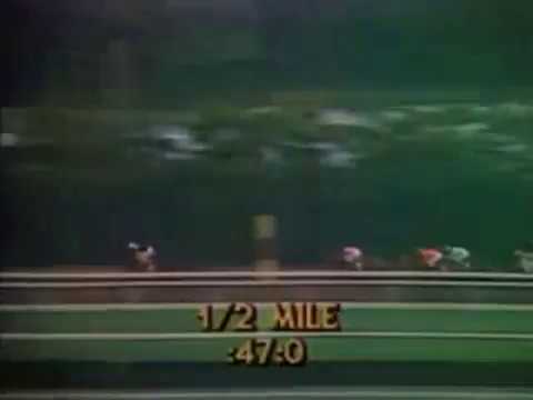 1978 Marlboro Cup -- Seattle Slew defeats Affirmed