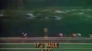 1978 Marlboro Cup -- Seattle Slew defeats Affirmed