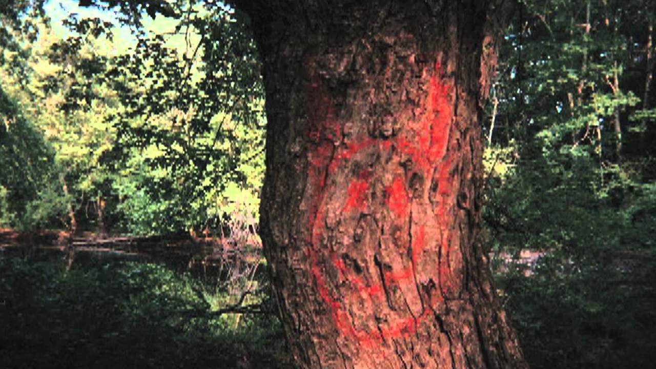 The Smiley Face Killers Trailer