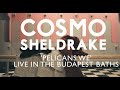 Cosmo Sheldrake - 'Pelicans We' Live in the ...