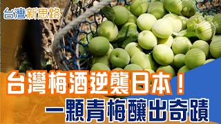 日本梅酒也要台灣青梅？從產業低潮到靠梅酒翻身，嘉義酒廠二代把台灣青梅釀成「綠色黃金」把地方農產變成外銷奇蹟｜【台灣新思路】三立財經iNEWS
