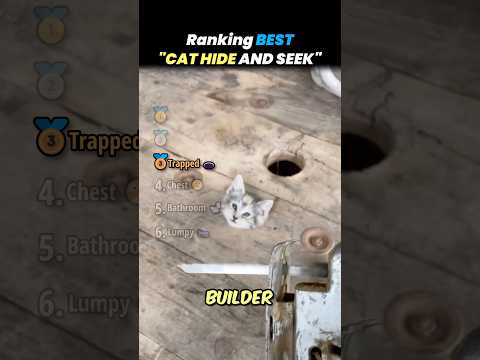 Ranking BEST CAT HIDE AND SEEK Core Moments!! 🐱🫥