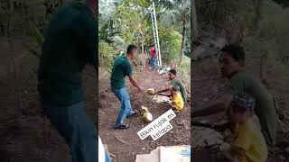 Download lagu Bikin rujak KELAPA (Di Goyang) sama yang MUDA😂#shorts #viral mp3 Download lagu Bikin rujak KELAPA (Di Goyang) sama yang MUDA😂#shorts #viral mp3