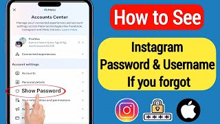 How to See Your Instagram Password on iPhone (2023) | See Your Instagram Password on iPhone