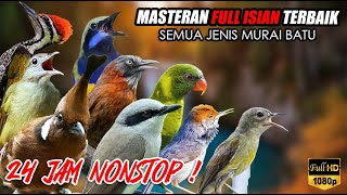 Download lagu #19 MASTERAN MURAI BATU FULL ISIAN TEMBAKAN TERBAIK‼️ mp3