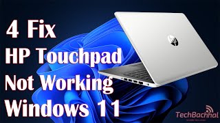 HP Touchpad Not Working Windows 11 - 4 Fix