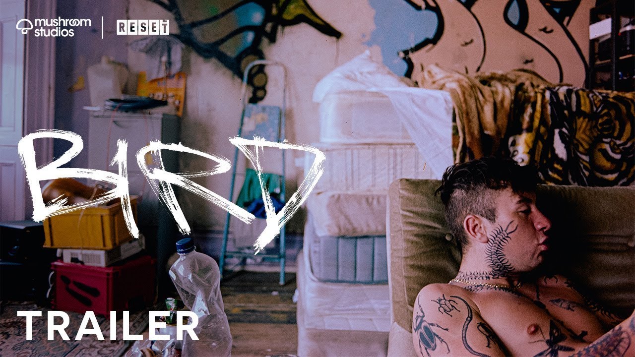 Bird | Official Trailer (in cinemas now)