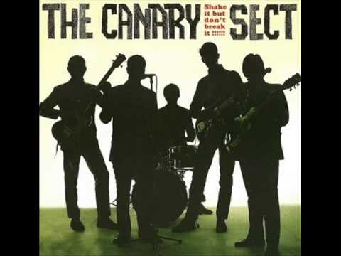 THE CANARY SECT - daddy rolling stone