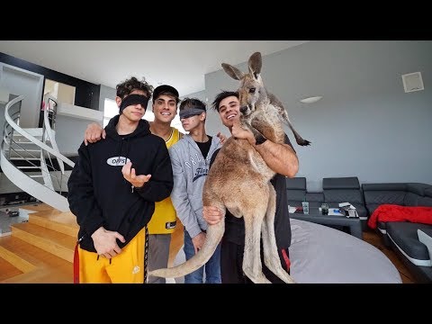 SURPRISING LUCAS AND MARCUS WITH BABY KANGAROOS! Video