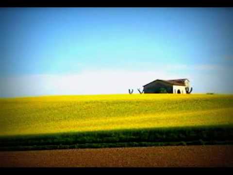 Cantico Così qual sono