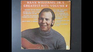 Hank Williams Jr      I've Learned To Take The Hurtin'