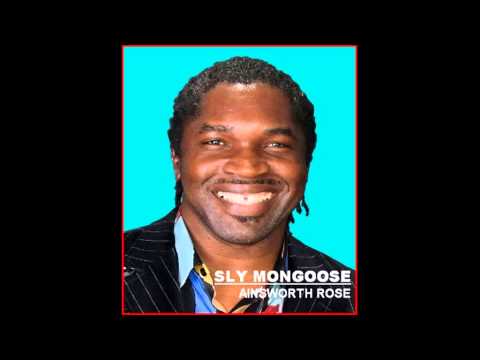 Sly Mongoose - Ainsworth Rose