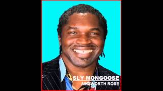 Sly Mongoose - Ainsworth Rose
