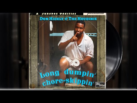 Don Hidely & The Houdinis - Long dumpin', chore-skippin' (Obscure 70s Vinyl)