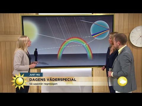 Meteorologen: "Mycket ostadigt väder och lågtryck" - Nyhetsmorgon (TV4)
