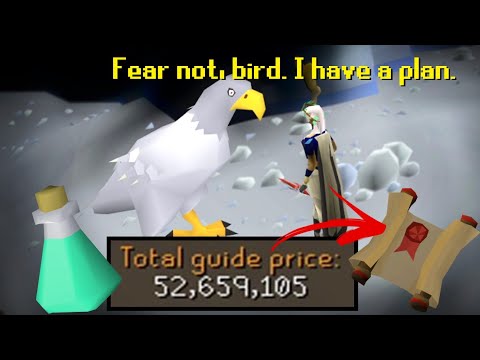 The 52 Million Gp Plan