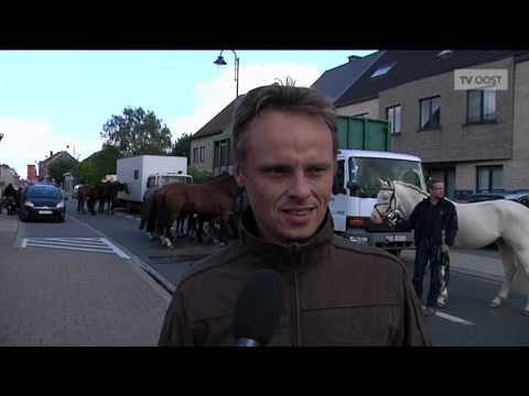 Stadstv Buggenhout - Jaarmarkt Opstal