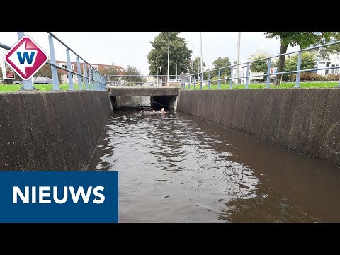 Meeste regen valt in Nieuwkoop - OMROEP WEST