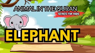 Elephant | Animals in the Quran (18:45)