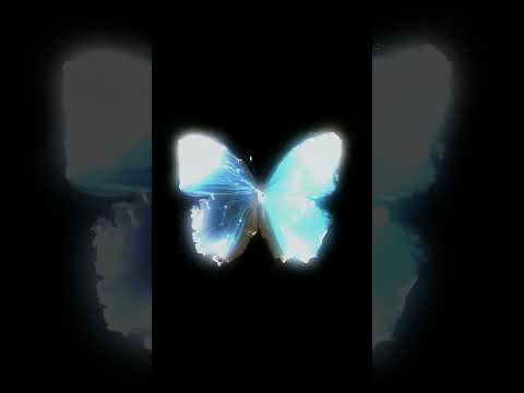 FREE UK Drill Loop Kit 2023 / Sample Pack 2023  - Butterfly Effect - (Central Cee ,Sheff G)