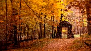 DnB - Rameses B - Timeless feat. Veela (Monstercat EP Release)