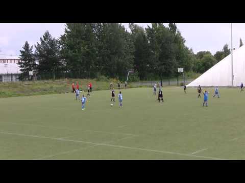 D12p piirisarja: NP-H - Pallokissat-04