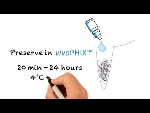 How to use vivoPHIX™ for tissue dissociation, scDNA-seq and scRNA-seq