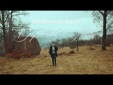 Departe-ntr-un staul - Beniamin Buși 